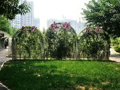 -太阳宫公园