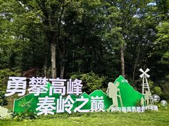 -朱雀国家森林公园