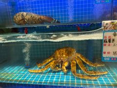 -赵小犇·江湖川菜馆