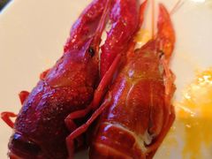 冰鲜小龙虾-丹东汇侨希尔顿花园酒店自助餐