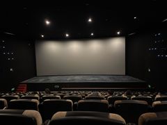 -深影国际影城(学院南路店CGS中国巨幕店)