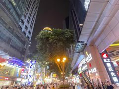 -一只酸奶牛(八一路店)
