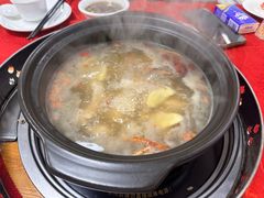 -花苑美食横琴生蚝火锅(拱北粤华路店)