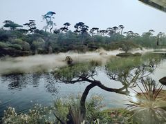 -罗红摄影艺术馆