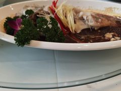 -小贝壳酒楼(经九路店)