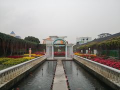 -百万葵园