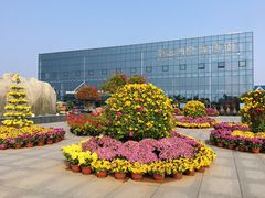 -南通洲际绿博园