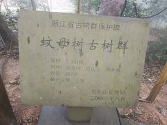 -普陀山风景区-佛顶山