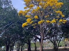 -白沙门生态公园