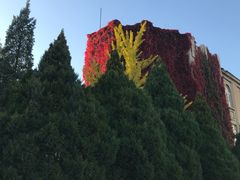 -辽宁大学(崇山校区)