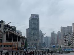 -新凯里酸汤鱼(飞山街店)
