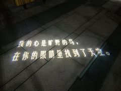 -映月湖中央公园
