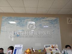 -宠颐生贝利健动物医院(谢家湾分院)