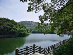 -灵岩山风景区