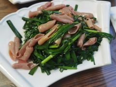 -鲁前海沿儿