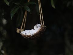 -黎阳老街