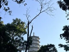 -深圳国际园林花卉博览园