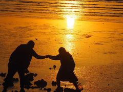 -宝安西湾红树林湿地公园