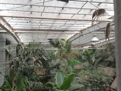 景点-龙达温泉生态城
