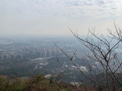 -杭州半山国家森林公园