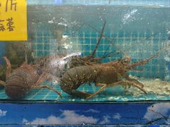 -坛南湾阿强农家乐.海鲜大排档老字号(福州地标美食店)