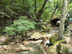 -本溪汤沟绿石谷森林公园