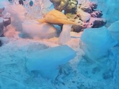 -海合安成都极地海洋公园
