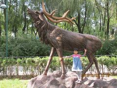 麋鹿雕塑-月亮河温泉度假酒店