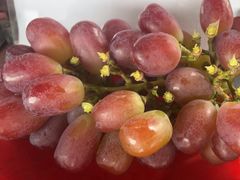 -马陆小张葡萄园农家乐