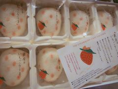 -关西国际机场直营免税店