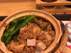 -华记煲仔华·煲仔饭(三元里万科里店)