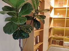 -左悦·艾灸调理·推拿按摩·精油SPA(卓悦汇店)