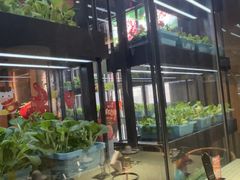 -番食园鲜食火锅(高新店)