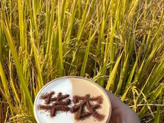 -华农酸奶文化馆