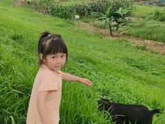 -佛山科学馆
