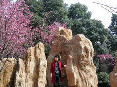 -富乐山