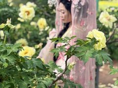 -洛阳市隋唐城遗址植物园