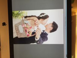 点击看大图 韩国艺匠ARTIZ STUDIO-THE QUEEN(北京店)