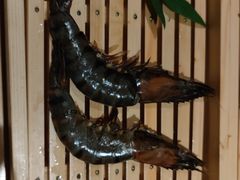 -锦和牛·炭火烧肉(ICC太和里店)