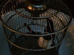 iphone_upload_pic-嘉善老市