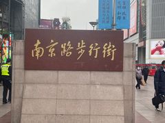 -新雅粤菜馆(南京东路店)