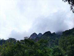 -青峰峡国家森林公园