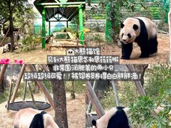 -灵玲国际马戏城