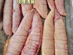 -金砂阿洲鱼册店