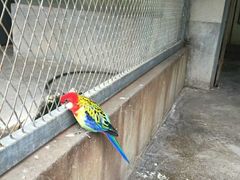 -西安秦岭野生动物园