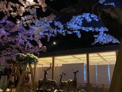 -蓝鲸湾汤泉(包河店)