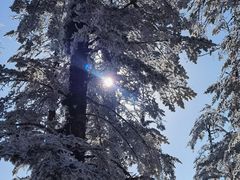 -瓦屋山景区