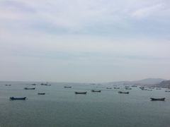 -兴旺渔家