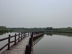 -西青郊野公园