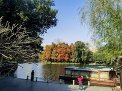 -侨美·唐荔园·40年地道粤菜